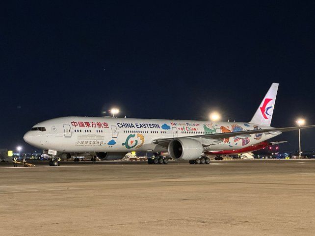 Argentina tiene el vuelo más largo del mundo: más de 25 horas desde China