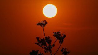 Temperaturas extremas castigan distintas zonas alrededor del planeta