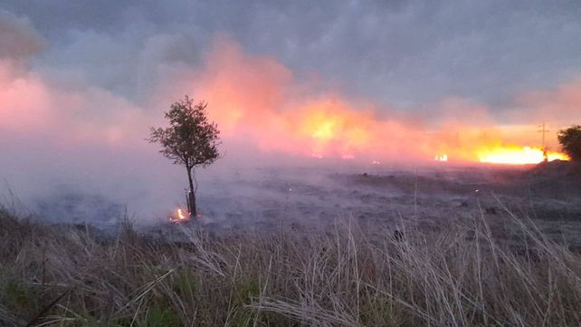 Autopista Rosario Santa Fe: dos horas de trabajo de los bomberos para apagar un incendio