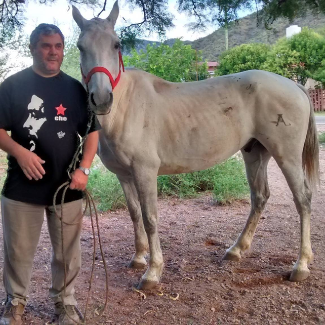 La diferencia entre vivir en Chilecito o en Venado Tuerto es difícil definirlo. En Venado viví mi infancia y adolecencia. Acá desarrollé mi vida de profesional y formé mi familia  