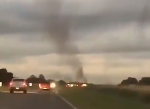 Video:  un sorprendente tornado de mosquitos invadió la ruta en el Partido de Pinamar