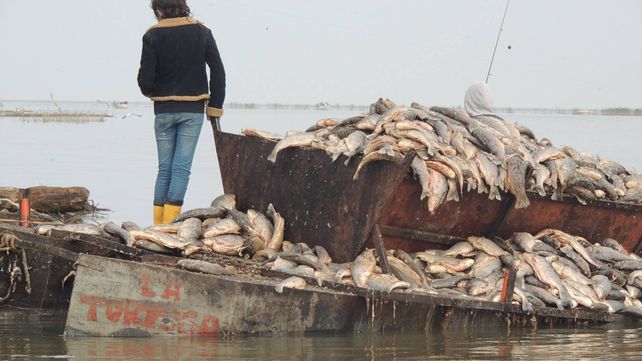 Triste panorama. Los pescadores perdieron mercadería por más de 50.000 pesos.