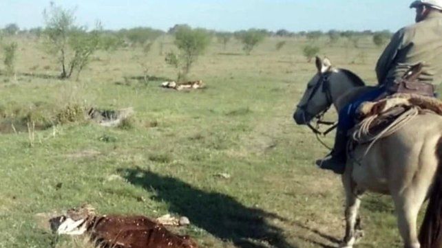 Los productores damnificados son de Chajarí.