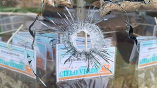 La farmacia propiedad del presidente comunal de Alvear fue baleada este martes a la madrugada.&nbsp;