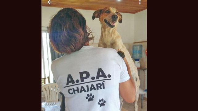 Marina es la reina del lugar y as&iacute; se hace conocer en las redes sociales.