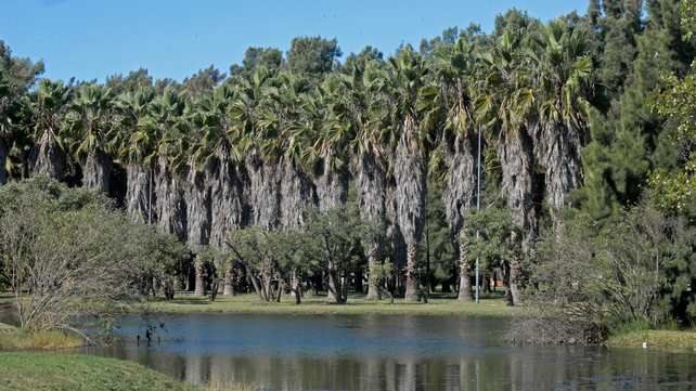 Bosque de los Constituyentes.