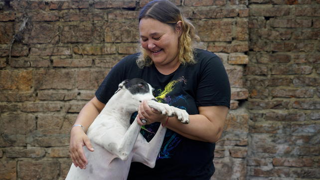 El patio y sus tres perras galgos