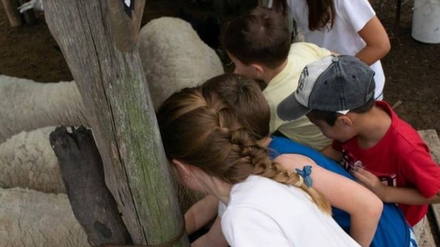 Granjas educativas en Santa Fe: el desafío de vivir y enseñar del campo