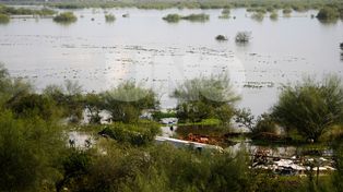 El río Salado continúa en baja y sigue el operativo de asistencia a familias