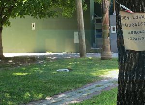 Paraná: Prefiero un árbol y no más asfalto