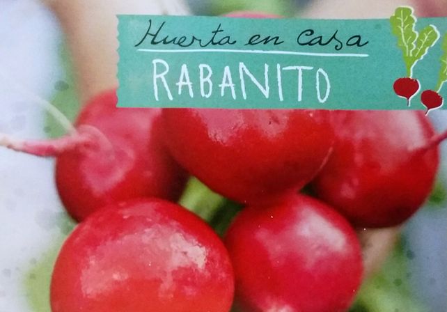 Llevate este viernes la Huerta en Casa