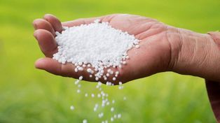 El más usado. La urea representó el año pasado el 40% del total de los fertilizantes aplicados en el país. Es el más utilizado en su tipo en Argentina.