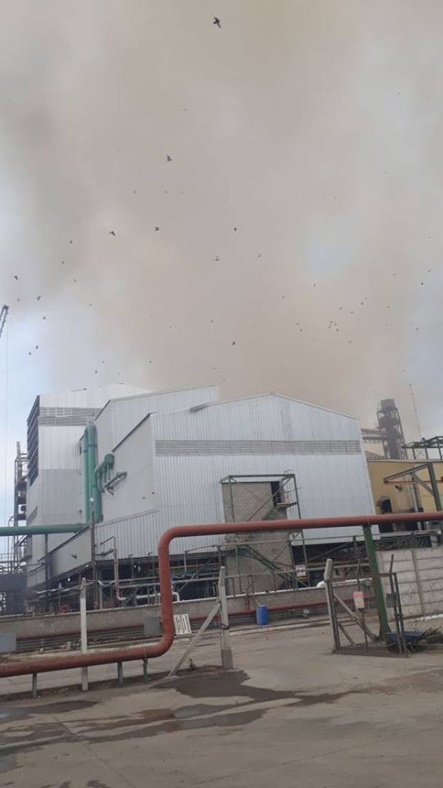 Las impactantes imágenes de la explosión de la cerealera