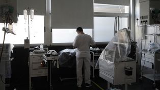 Un alto número de enfermeros de la zona sur de Santa Fe busca empleo en el exterior.