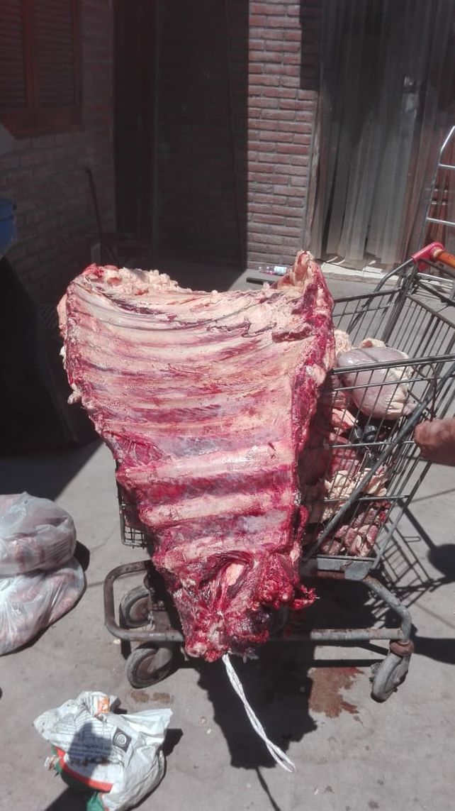 Decomiso de carne vacuna y de cerdo no apta para consumo