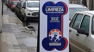 Colocarán en espacios de la ciudad mil dispensers para recolección de residuos de animales