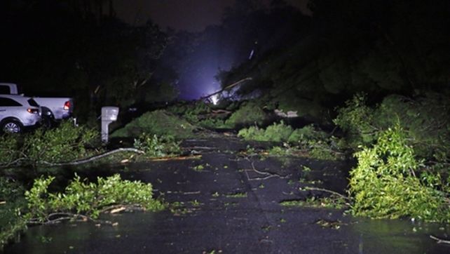 Florida. El ciclón derribó árboles y cortó rutas en vastas regiones.