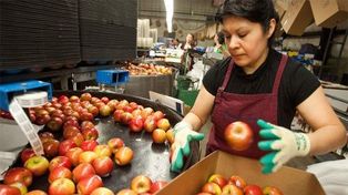Economías regionales: las exportaciones aumentaron en toneladas