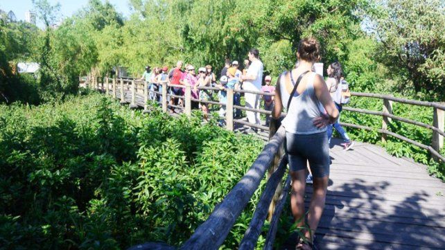 El paseo Vamos al Curuí es una iniciativa de Empatur dentro del programa Activá Verano
