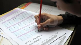 Probá el simulador de las pruebas Aprender, que se toman hoy en todo el país