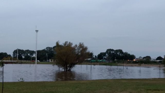 Foto gentileza&nbsp;Silvia Nalivaiko.&nbsp;