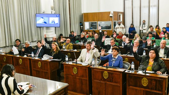 Se remarcó en el Senado el objetivo de velar por la supervisión de los derechos de la niñez y adolescencia y supervisar programas