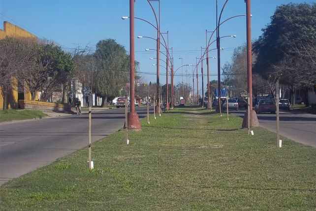 Avenida Peñaloza