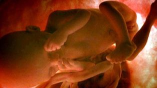 Son cada vez m&aacute;s las enfermedades tratables en el seno materno