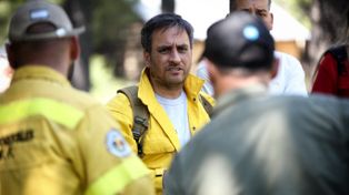 El ministro de Ambiente de la Nación, Juan Cabandié, volvió a apuntar a la actividad ganadera como el origen de los incendios en las islas&nbsp;