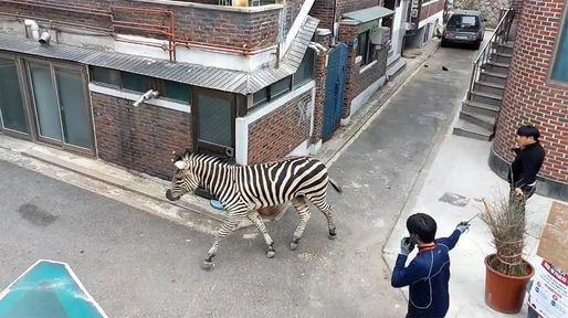 El día en imágenes alrededor del mundo