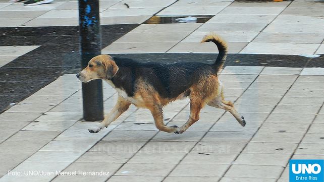 ¿Sigue el frío? cómo comienza la semana