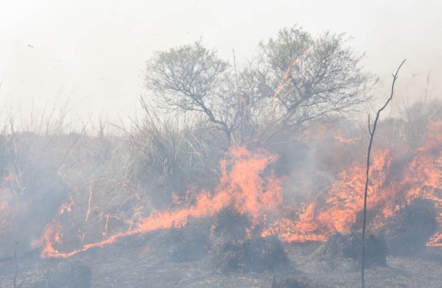El banquillo de los acusados por los incendios en las islas está vacío