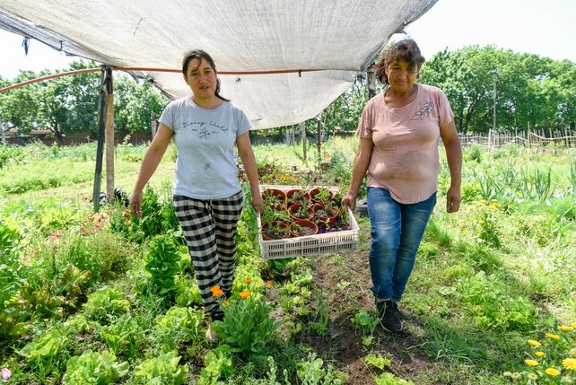 Huertas urbanas: el lugar donde la vida vuelve a brotar