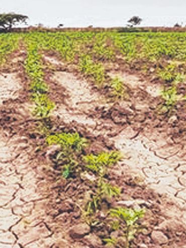 Extienden plazo a productores de Santa Fe para acceder a subsidio nacional