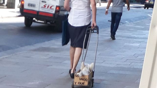 Soy vago y qué, el perrito santafesino que es furor en las redes sociales