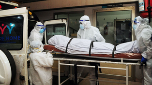 El virus Nipah está calificado en el nivel cuatro de bioseguridad, la categoría más alta