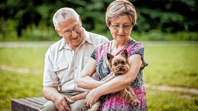 Buscan que perros y gatos puedan acompañar a adultos mayores en residencias geriátricas.