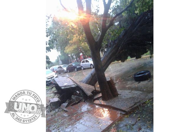 Terrible temporal de lluvia y viento generó graves destrozos en Paraná