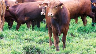 Santa Fe construye su propio sello verde para el sector agropecuario