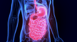Endoscopía digestiva: diagnóstico, tratamiento y prevención del cáncer colorrectal