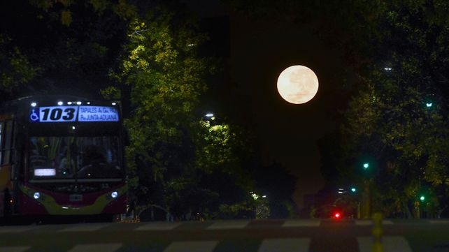 Qué es la Luna Rosa