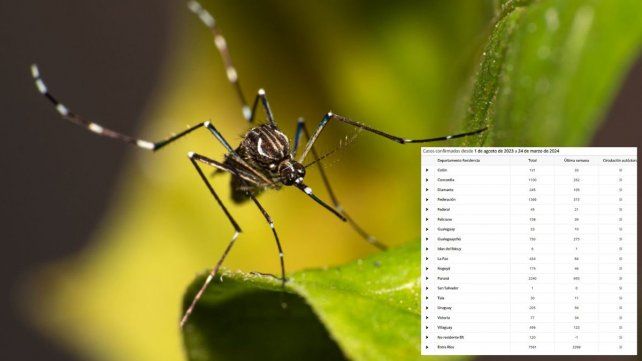 Desde Epidemiología de Entre Ríos indicaron que siguen aumentando los casos de dengue. Reiteraron síntomas y formas de prevenir picaduras del aedes aegypti