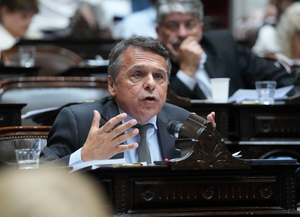 Giuliano advirtió que el fallo de la Corte sobre la ley de tierras es un freno provisorio
