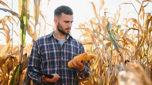 El seguro agropecuario, clave para dar previsibilidad al campo