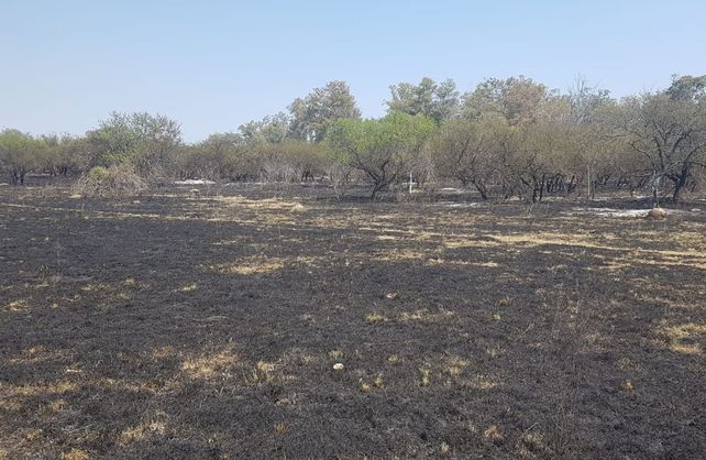 Así quedó el lugar tras sofocar las llamas.