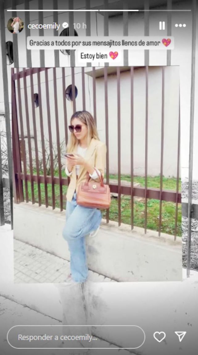La historia de Instagram que publicó Emily en Instagram antes de salir a contar públicamente la situación de violencia