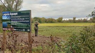 Colón fue sede de observación de aves en el Global Big Day