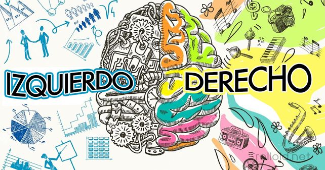 Test: ¿Qué hemisferio de tu cerebro domina tu vida?