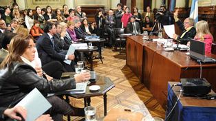 El Senado ya debate el matrimonio  entre personas del mismo sexo