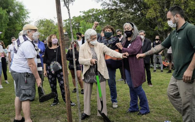 Memoria, verdad y justicia: un árbol por Juane Basso, símbolo de la lucha persistente